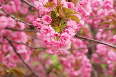 温州平阳7线下个人借款平台一站式服务，轻松解决资金难题