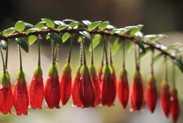 温州平阳7零用贷短借：轻松解决临时资金需求