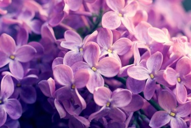 温州平阳7企业急用钱贷款攻略：快速融资解燃眉之急